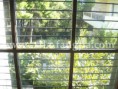 /album/xfns21-5301/a106-jpg/